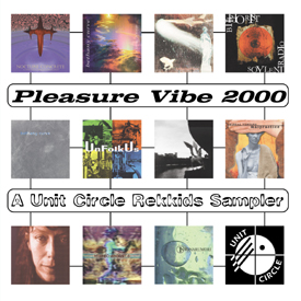 Pleasure Vibe 2000 cover